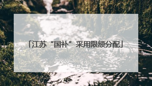 江苏“国补”采用限额分配