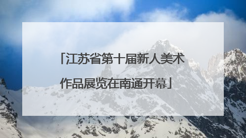江苏省第十届新人美术作品展览在南通开幕
