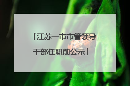 江苏一市市管领导干部任职前公示