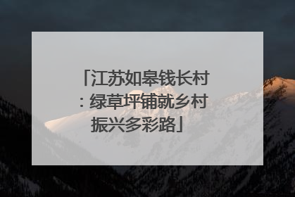 江苏如皋钱长村：绿草坪铺就乡村振兴多彩路