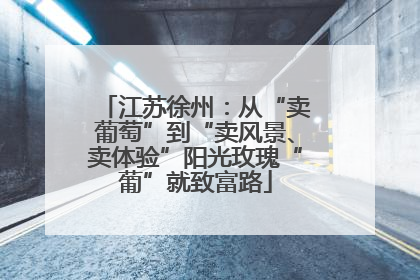 江苏徐州：从“卖葡萄”到“卖风景、卖体验”阳光玫瑰“葡”就致富路