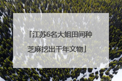 江苏6名大姐田间种芝麻挖出千年文物