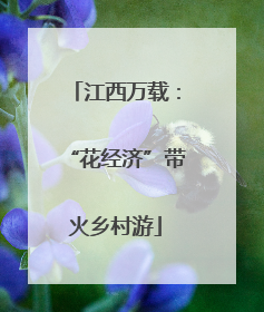江西万载：“花经济”带火乡村游