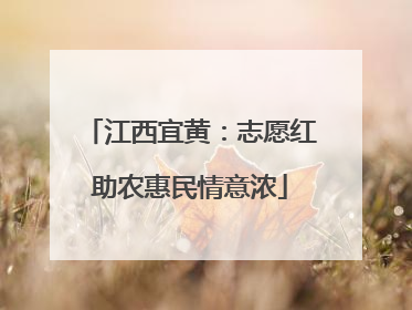 江西宜黄：志愿红助农惠民情意浓