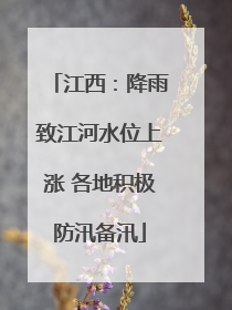 江西：降雨致江河水位上涨 各地积极防汛备汛
