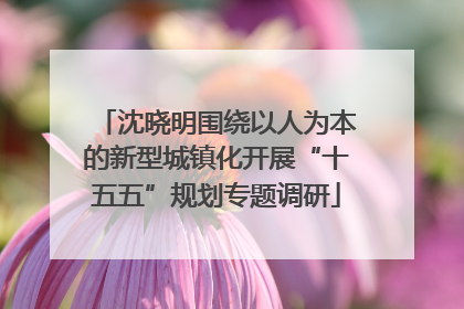 沈晓明围绕以人为本的新型城镇化开展“十五五”规划专题调研