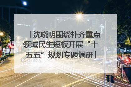 沈晓明围绕补齐重点领域民生短板开展“十五五”规划专题调研