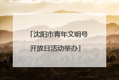 沈阳市青年文明号开放日活动举办