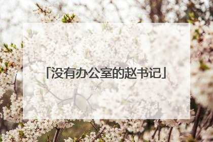 没有办公室的赵书记