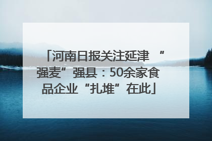 河南日报关注延津 “强麦”强县：50余家食品企业“扎堆”在此