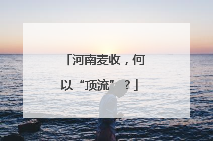 河南麦收，何以“顶流”？