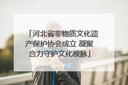 河北省非物质文化遗产保护协会成立 凝聚合力守护文化根脉
