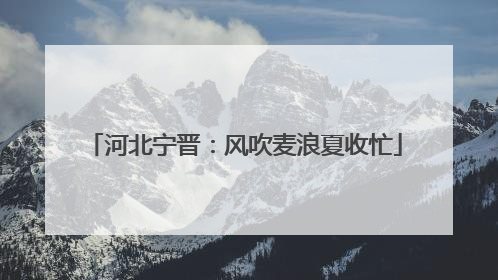 河北宁晋：风吹麦浪夏收忙