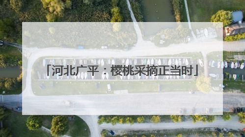 河北广平：樱桃采摘正当时