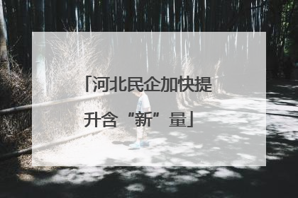 河北民企加快提升含“新”量