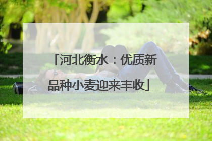 河北衡水：优质新品种小麦迎来丰收