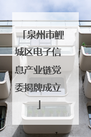 泉州市鲤城区电子信息产业链党委揭牌成立