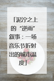 泥泞之上的“逆雨”叙事：一场音乐节折射出的城市温度