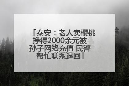 泰安：老人卖樱桃挣得2000余元被孙子网络充值 民警帮忙联系退回