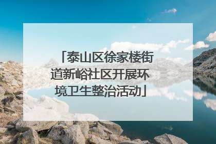 泰山区徐家楼街道新峪社区开展环境卫生整治活动