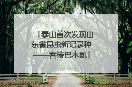 泰山首次发现山东省昆虫新记录种——香椿巴木虱