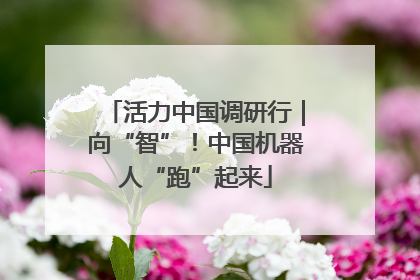 活力中国调研行｜向“智”！中国机器人“跑”起来