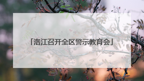 洛江召开全区警示教育会