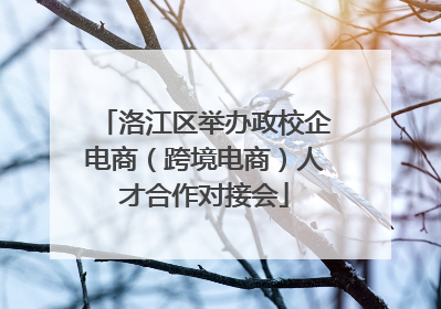 洛江区举办政校企电商（跨境电商）人才合作对接会