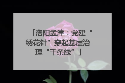 洛阳孟津:党建“绣花针”穿起基层治理“千条线”