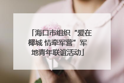 海口市组织“爱在椰城 情牵军营”军地青年联谊活动