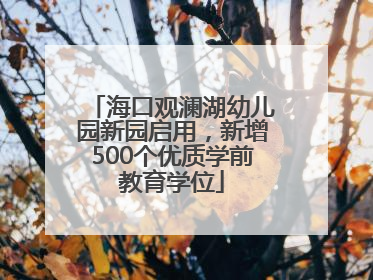海口观澜湖幼儿园新园启用，新增500个优质学前教育学位