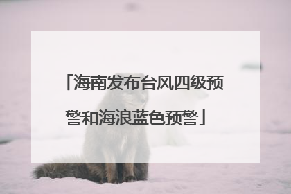 海南发布台风四级预警和海浪蓝色预警