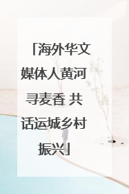 海外华文媒体人黄河寻麦香 共话运城乡村振兴