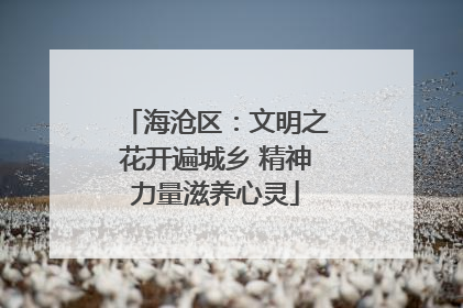 海沧区：文明之花开遍城乡 精神力量滋养心灵