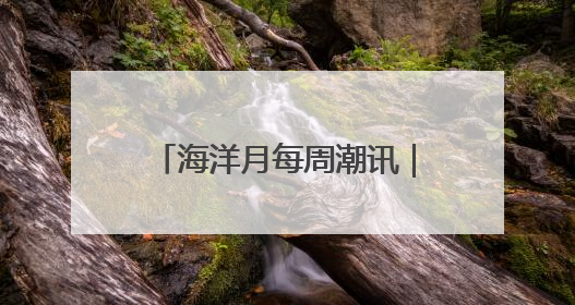 海洋月每周潮讯｜社群联动，多元场景共绘蔚蓝新章