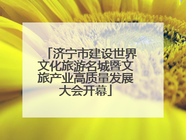 济宁市建设世界文化旅游名城暨文旅产业高质量发展大会开幕