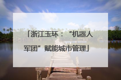 浙江玉环：“机器人军团”赋能城市管理