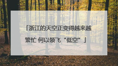 浙江的天空正变得越来越繁忙 何以领飞“低空”