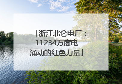 浙江北仑电厂：11234万度电涌动的红色力量