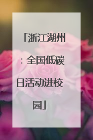 浙江湖州：全国低碳日活动进校园