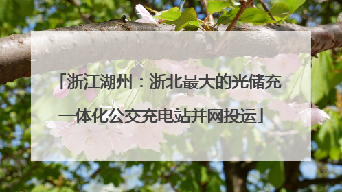 浙江湖州：浙北最大的光储充一体化公交充电站并网投运