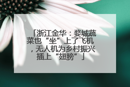 浙江金华：婺城蔬菜也“坐”上了飞机，无人机为乡村振兴插上“翅膀”