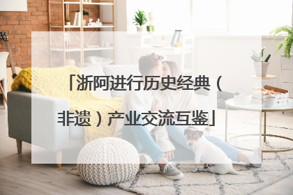 浙阿进行历史经典（非遗）产业交流互鉴