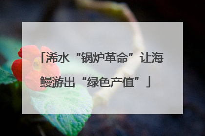 浠水“锅炉革命”让海鳗游出“绿色产值”