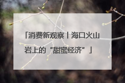 消费新观察丨海口火山岩上的“甜蜜经济”