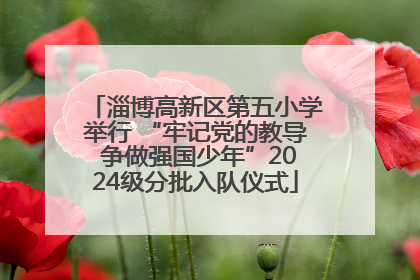 淄博高新区第五小学举行 “牢记党的教导 争做强国少年”2024级分批入队仪式
