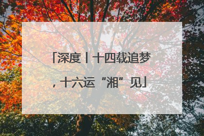 深度丨十四载追梦，十六运“湘”见