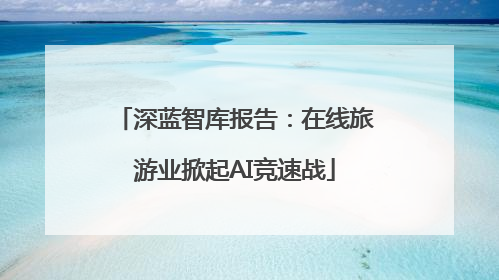 深蓝智库报告：在线旅游业掀起AI竞速战