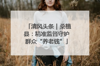 清风头条｜桑植县：精准监督守护群众“养老钱”