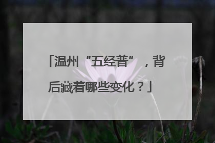 温州“五经普”，背后藏着哪些变化？